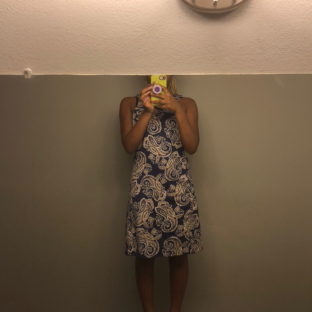 ANN TAYLOR  dress.